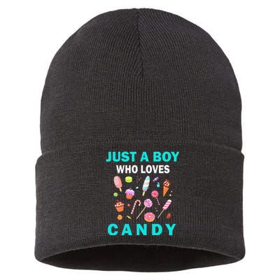 Cute Just A Boy Who Loves Candy Sweets Sustainable Knit Beanie