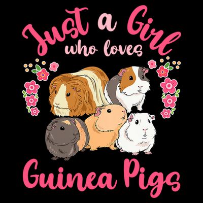 Cute Just A Girrl Who Loves Guinea Pigs Women T-Shirt