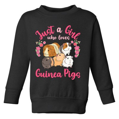 Cute Just A Girrl Who Loves Guinea Pigs Women Toddler Sweatshirt
