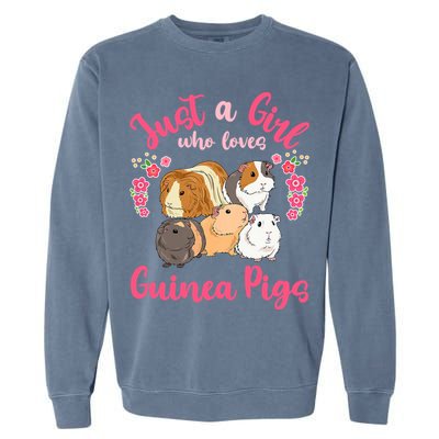 Cute Just A Girrl Who Loves Guinea Pigs Women Garment-Dyed Sweatshirt