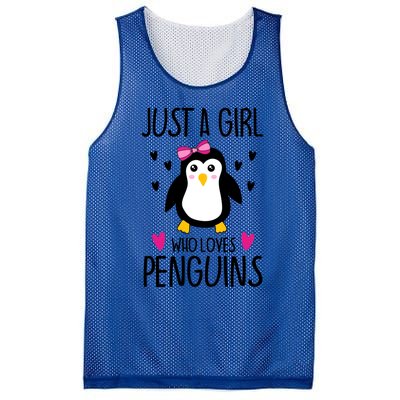 Cute Just A Who Loves Penguins Trendy Penguin Gift Mesh Reversible Basketball Jersey Tank