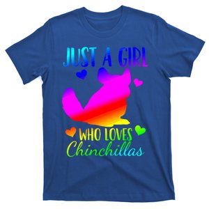 Chinchilla Just A Who Loves Chinchillas Gift T-Shirt