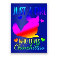 Chinchilla Just A Who Loves Chinchillas Gift Poster