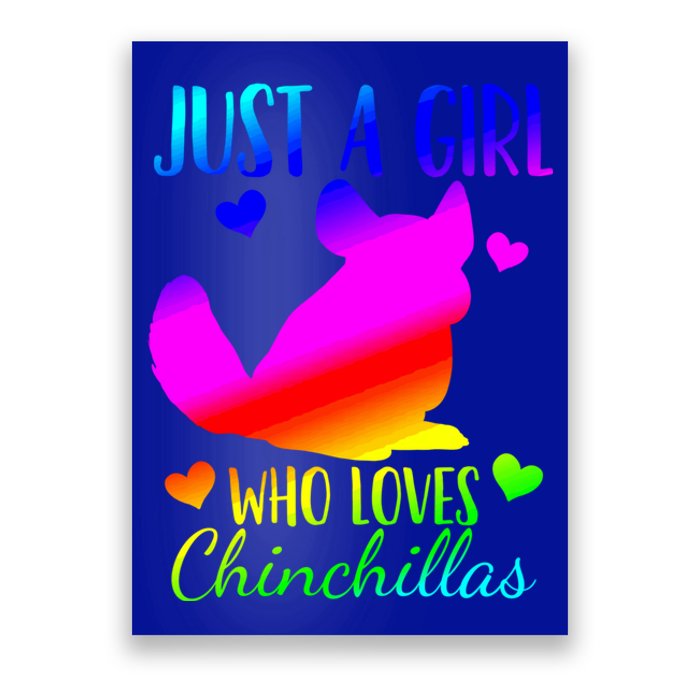 Chinchilla Just A Who Loves Chinchillas Gift Poster