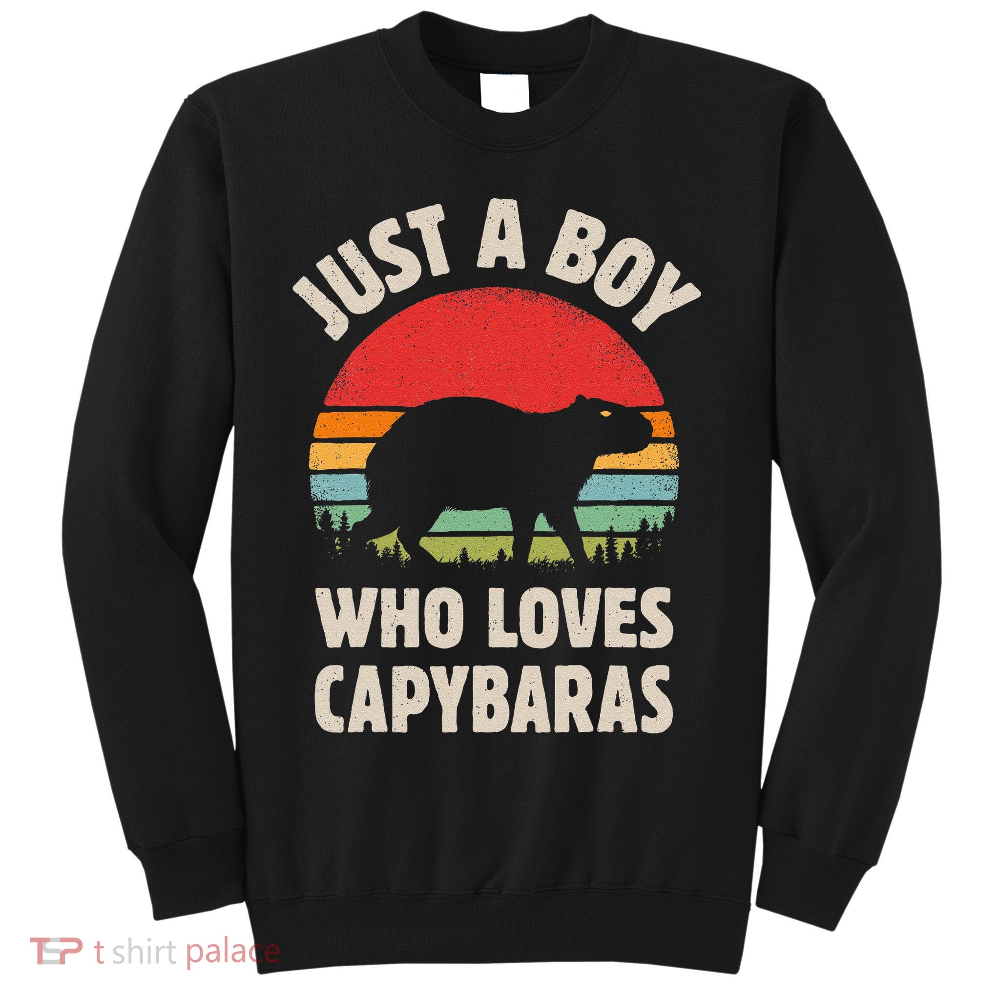 Capybara Just A Boy Who Loves Capybaras Retro Vintage Sunset Sweatshirt