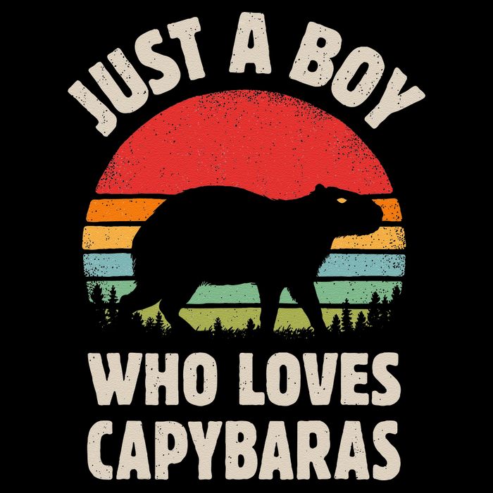 Capybara Just A Boy Who Loves Capybaras Retro Vintage Sunset Backpack