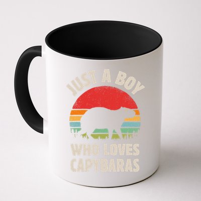 Capybara Just A Boy Who Loves Capybaras Retro Vintage Sunset Mug