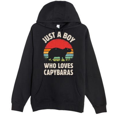 Capybara Just A Boy Who Loves Capybaras Retro Vintage Sunset Premium Pullover Hoodie