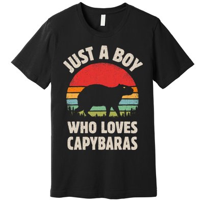Capybara Just A Boy Who Loves Capybaras Retro Vintage Sunset Premium T-Shirt