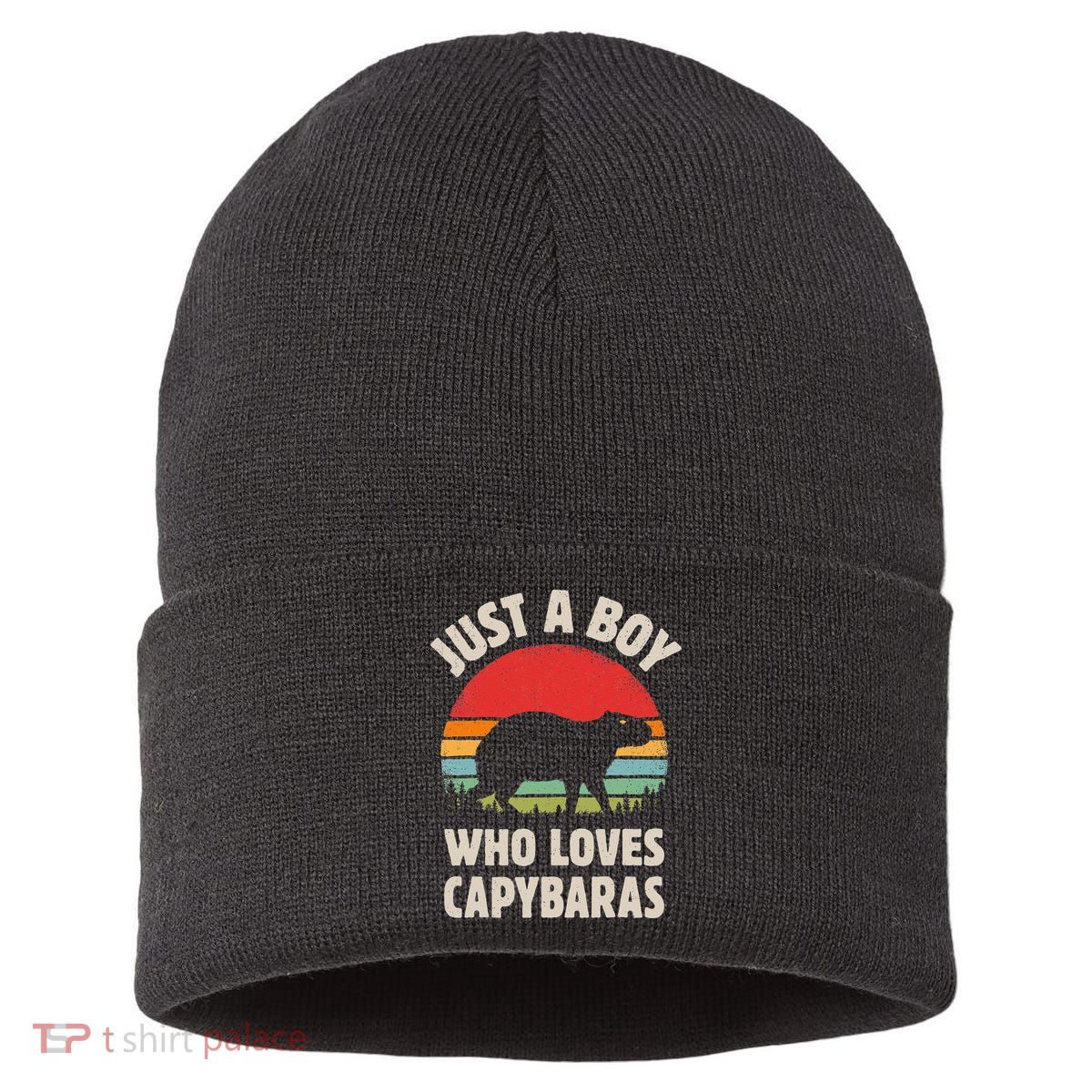 Capybara Just A Boy Who Loves Capybaras Retro Vintage Sunset Sustainable Knit Beanie