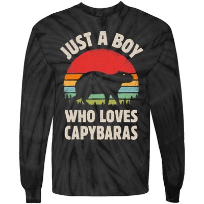 Capybara Just A Boy Who Loves Capybaras Retro Vintage Sunset Tie-Dye Long Sleeve Shirt