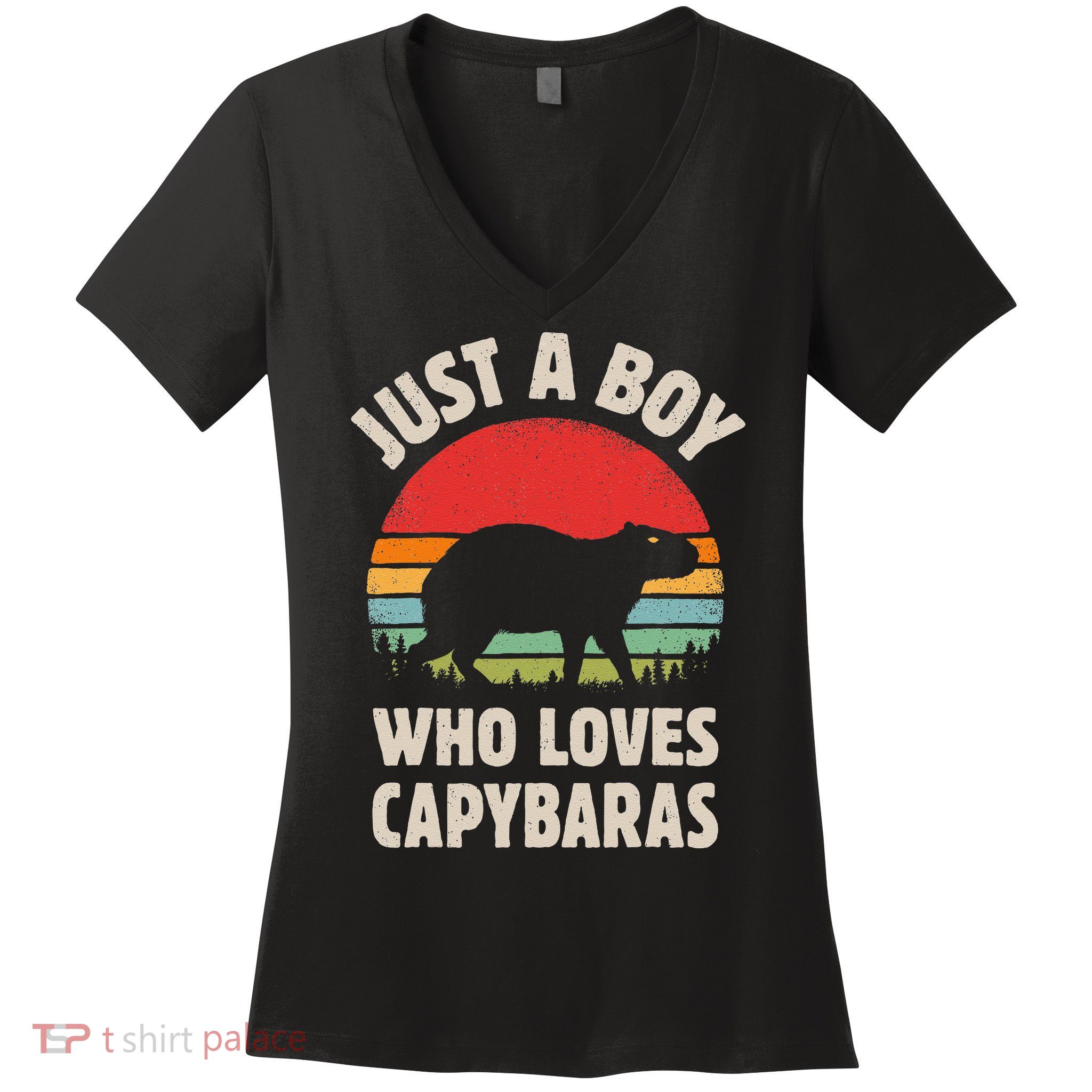Capybara Just A Boy Who Loves Capybaras Retro Vintage Sunset Women's V-Neck T-Shirt