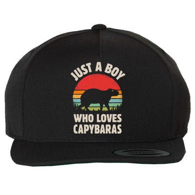 Capybara Just A Boy Who Loves Capybaras Retro Vintage Sunset Wool Snapback Cap