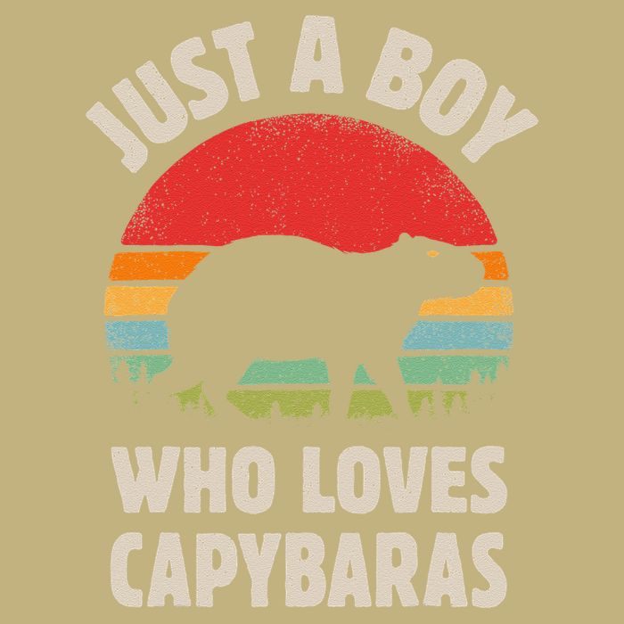 Capybara Just A Boy Who Loves Capybaras Retro Vintage Sunset Hoodie