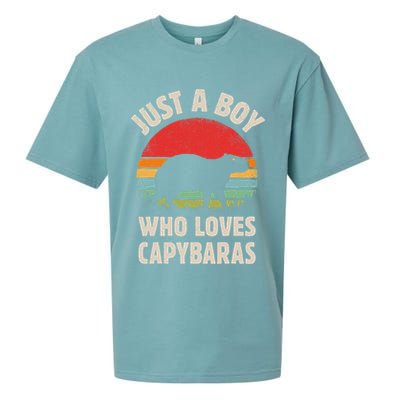 Capybara Just A Boy Who Loves Capybaras Retro Vintage Sunset Sueded Cloud Jersey T-Shirt