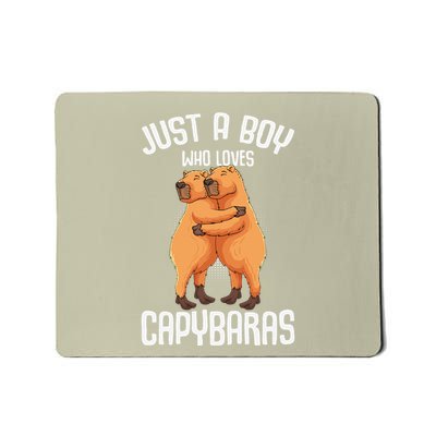 Capybara Just A Boy Who Loves Capybaras Mousepad