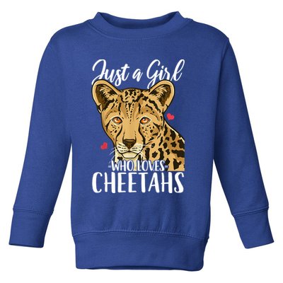 Cheetah Just A Girl Who Loves Cheetahs Cool Gift Toddler Sweatshirt