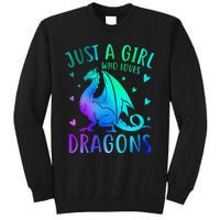 Cute Just A Girlss Who Loves Dragons Women Sweatshirt