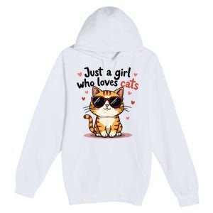 Cats Just A Girl Who Loves Cats Premium Pullover Hoodie