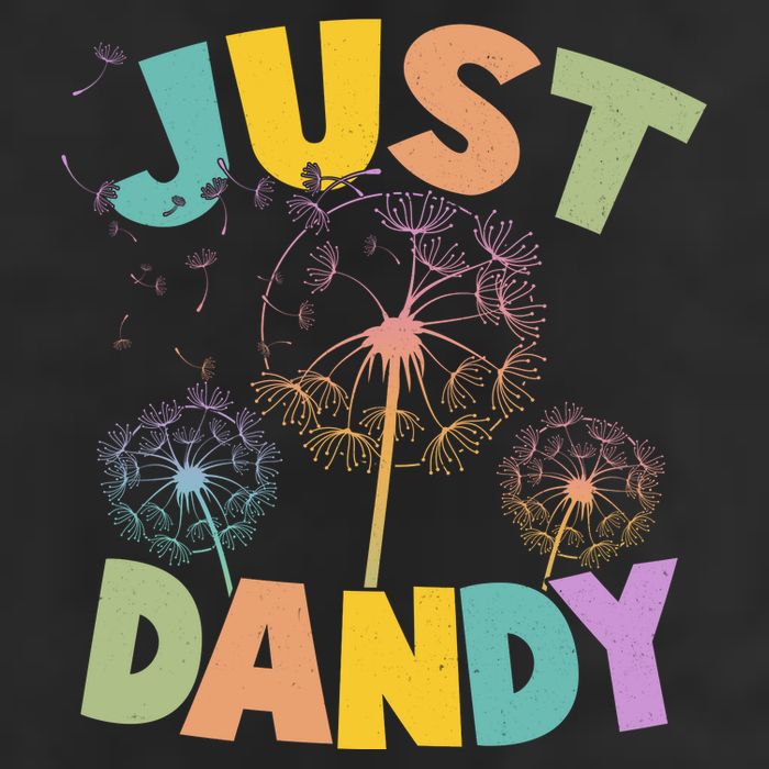Cute Just Dandy Springtime Dandelions Adult Drive Performance Visor