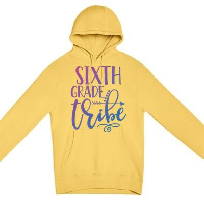 Cute Job Funny Sixth Grade Teacher 6Th Grade Gift Premium Pullover Hoodie