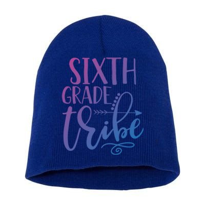 Cute Job Funny Sixth Grade Teacher 6Th Grade Gift Short Acrylic Beanie