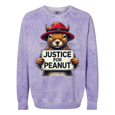 Cute Justice For Peanut The Squirrel Wanted Gift Colorblast Crewneck Sweatshirt