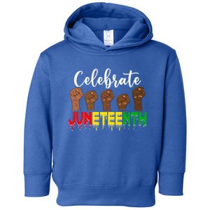 Celebrate Juneteenth Freedom Day Independence 1865 Cool Gift Toddler Hoodie