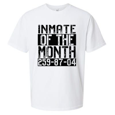 County Jail Inmate Of The Month Prisoner Costume Halloween Sueded Cloud Jersey T-Shirt