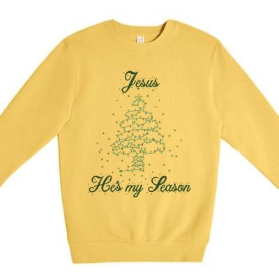 Christ Jesus Is The Reason For The Season Holiday Christmas Gift Premium Crewneck Sweatshirt