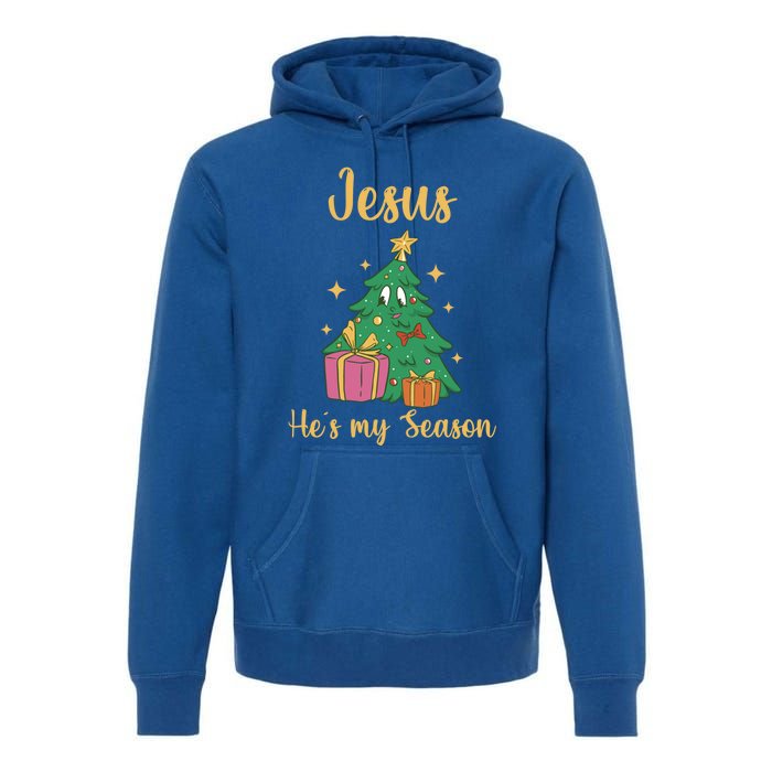 Christ Jesus Is The Reason For The Season Holiday Christmas Cute Gift Premium Hoodie