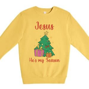 Christ Jesus Is The Reason For The Season Holiday Christmas Cute Gift Premium Crewneck Sweatshirt