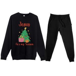 Christ Jesus Is The Reason For The Season Holiday Christmas Cute Gift Premium Crewneck Sweatsuit Set