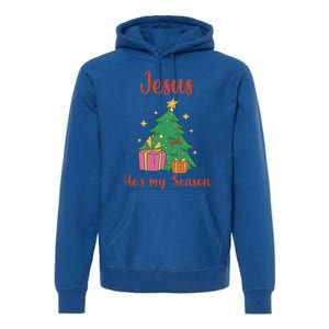 Christ Jesus Is The Reason For The Season Holiday Christmas Cute Gift Premium Hoodie