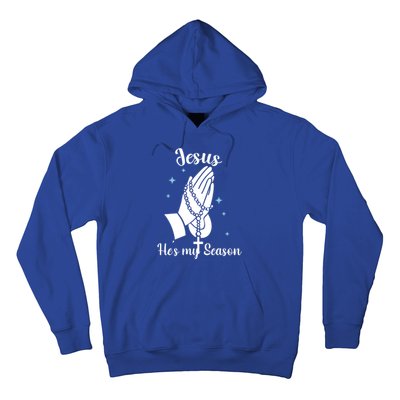 Christ Jesus Is The Reason For The Season Holiday Christmas Funny Gift Hoodie