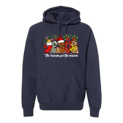 Christian Jesus The Reason Xmas Holiday Season Christmas Premium Hoodie