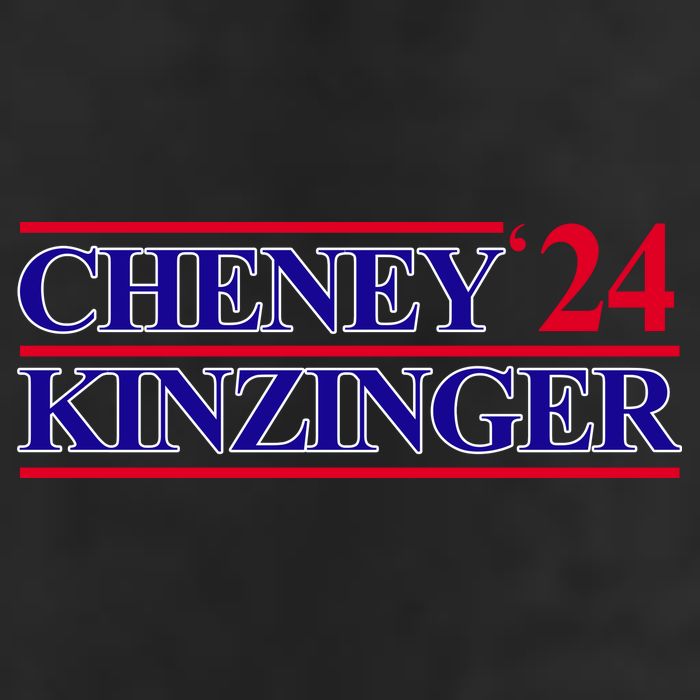 Cheney Kinzinger 2024 Election 7 Panel Mesh Trucker Snapback Hat