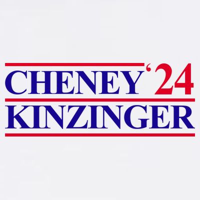 Cheney Kinzinger 2024 Election T-Shirt