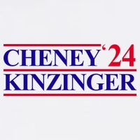 Cheney Kinzinger 2024 Election Adult Drive Performance Visor