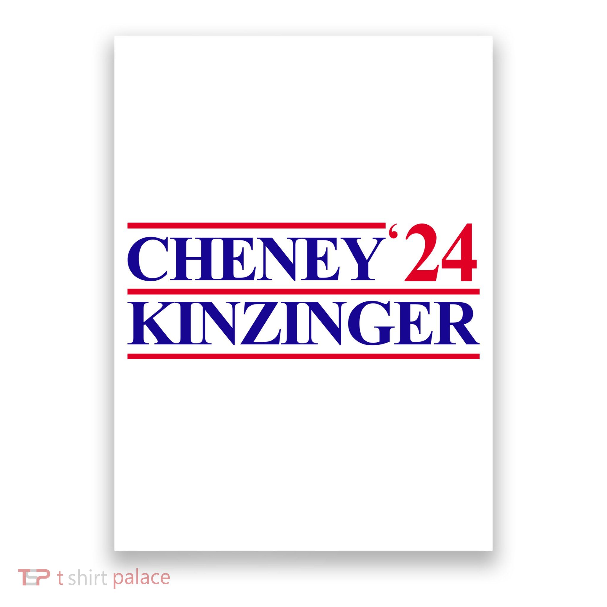 Cheney Kinzinger 2024 Election Poster