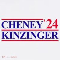 Cheney Kinzinger 2024 Election Poster