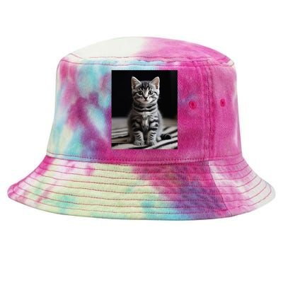 Cute Kitten American Short Hair Tie-Dyed Bucket Hat