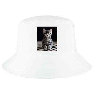 Cute Kitten American Short Hair Cool Comfort Performance Bucket Hat