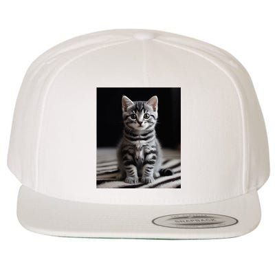 Cute Kitten American Short Hair Wool Snapback Cap