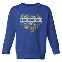 Choose Kind Autism Heart Autism Awareness Day Gift Toddler Sweatshirt