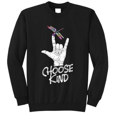 Choose Kind Asl Language Dragonfly Lover Insects Sweatshirt