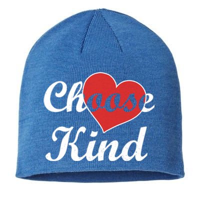 Choose Kind Autism Awarness Antibullying Gift Gift Sustainable Beanie