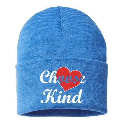 Choose Kind Autism Awarness Antibullying Gift Gift Sustainable Knit Beanie