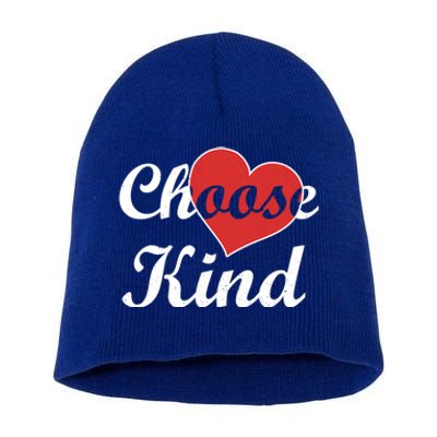 Choose Kind Autism Awarness Antibullying Gift Gift Short Acrylic Beanie