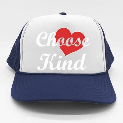 Choose Kind Autism Awarness Antibullying Gift Gift Trucker Hat